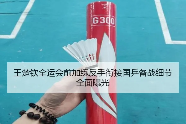 王楚钦全运会前加练反手衔接国乒备战细节全面曝光 | ODSPORTS